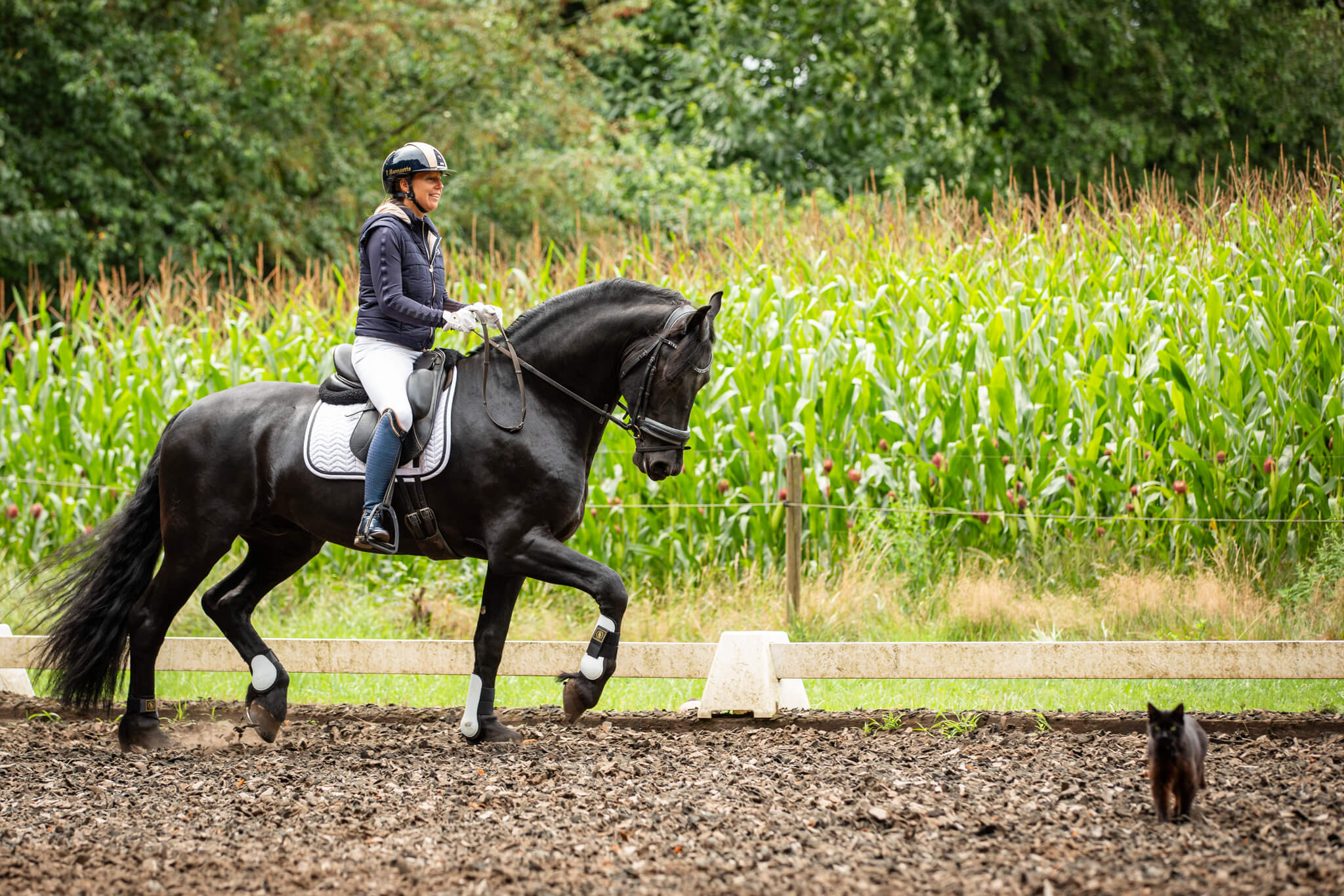 Lipica-Patricia-Web-41